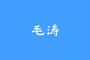 毛涛
