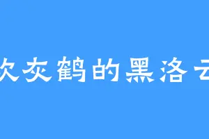 喜欢灰鹤的黑洛云汐