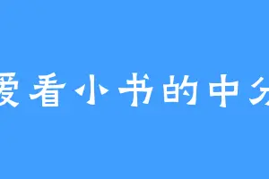 爱看小书的中分