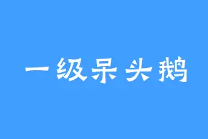 一级呆头鹅