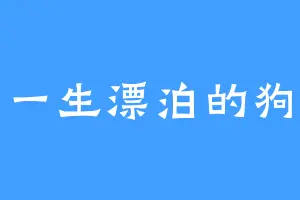 一生漂泊的狗