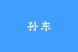 孙东