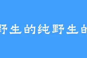 野生的纯野生的