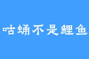 咸鱼咕蛹不是鲤鱼翻身