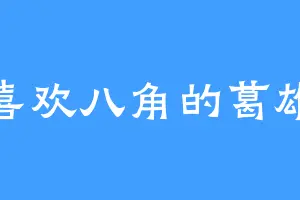 喜欢八角的葛雄