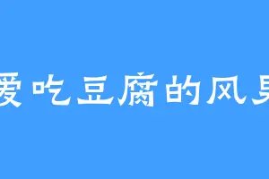 爱吃豆腐的风男