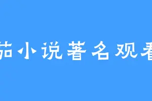 番茄小说著名观看家