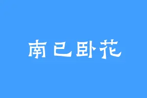 南已卧花