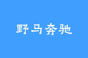 野马奔驰
