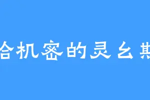 哈机密的灵幺斯