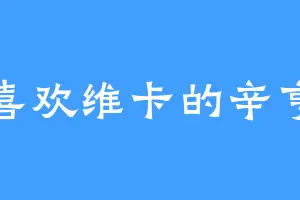 喜欢维卡的辛亨