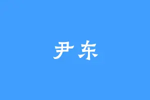 尹东
