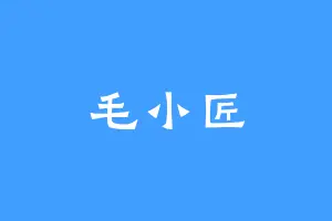毛小匠
