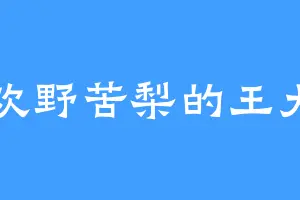喜欢野苦梨的王大石