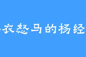 鲜衣怒马的杨经理