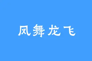 凤舞龙飞