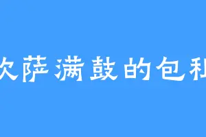 喜欢萨满鼓的包租公