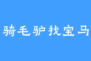 骑毛驴找宝马