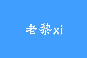 老黎xi
