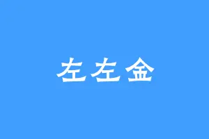 左左金