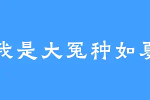 我是大冤种如夏