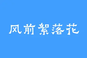 风前絮落花