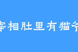宰相肚里有猫爷