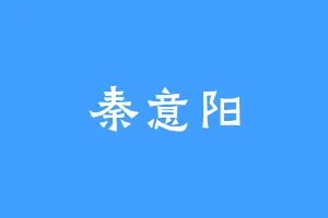 秦意阳