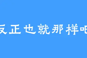 反正也就那样吧