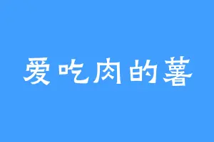 爱吃肉的薯