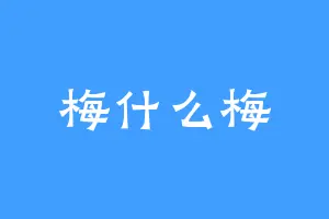 梅什么梅