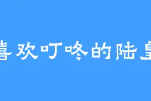 喜欢叮咚的陆皇