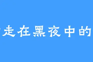 行走在黑夜中的猫