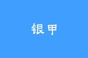 银甲