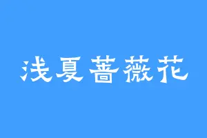 浅夏蔷薇花