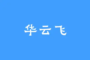 华云飞