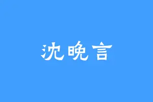 沈晚言