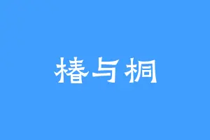 椿与桐