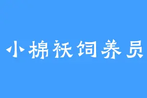 小棉袄饲养员