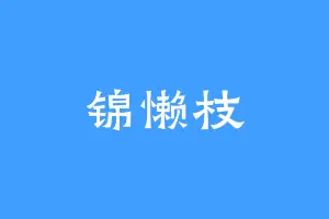 锦懒枝
