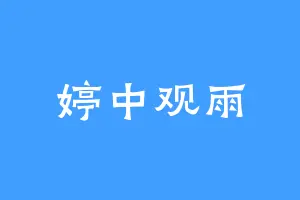 婷中观雨