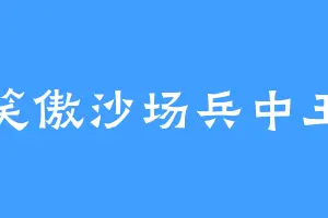 笑傲沙场兵中王