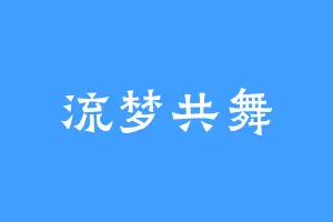 流梦共舞