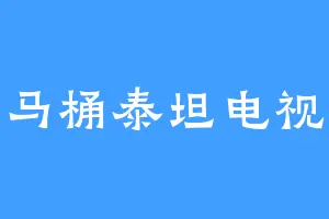 马桶泰坦电视