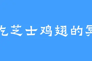 爱吃芝士鸡翅的冥夜