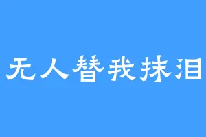 无人替我抹泪