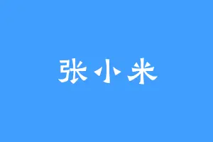 张小米