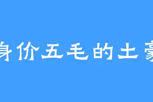 身价五毛的土豪