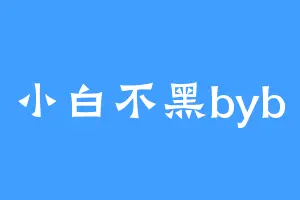小白不黑byb