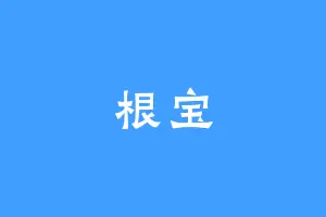 根宝